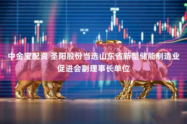 中金宝配资 圣阳股份当选山东省新型储能制造业促进会副理事长单位